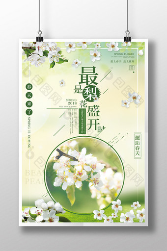 绿色小清新邂逅春天梨花盛开鲜花海报图片