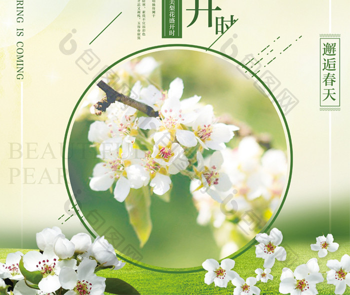 绿色小清新邂逅春天梨花盛开鲜花海报