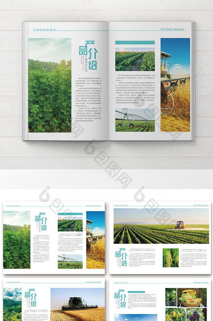 绿色大气农业画册