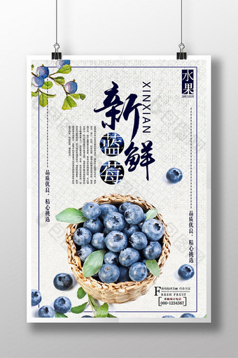 蓝莓促销创意海报图片