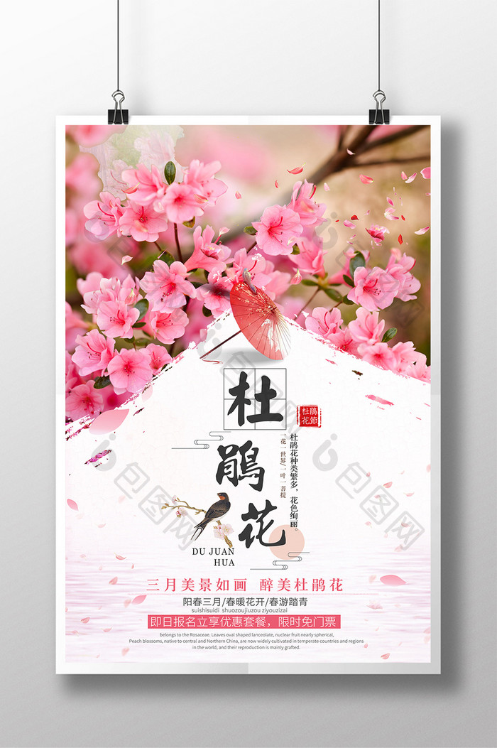 中国风唯美杜鹃花 旅游海报宣传设计