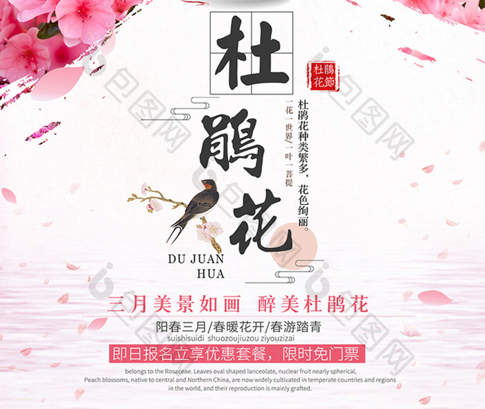中国风唯美杜鹃花 旅游海报宣传设计