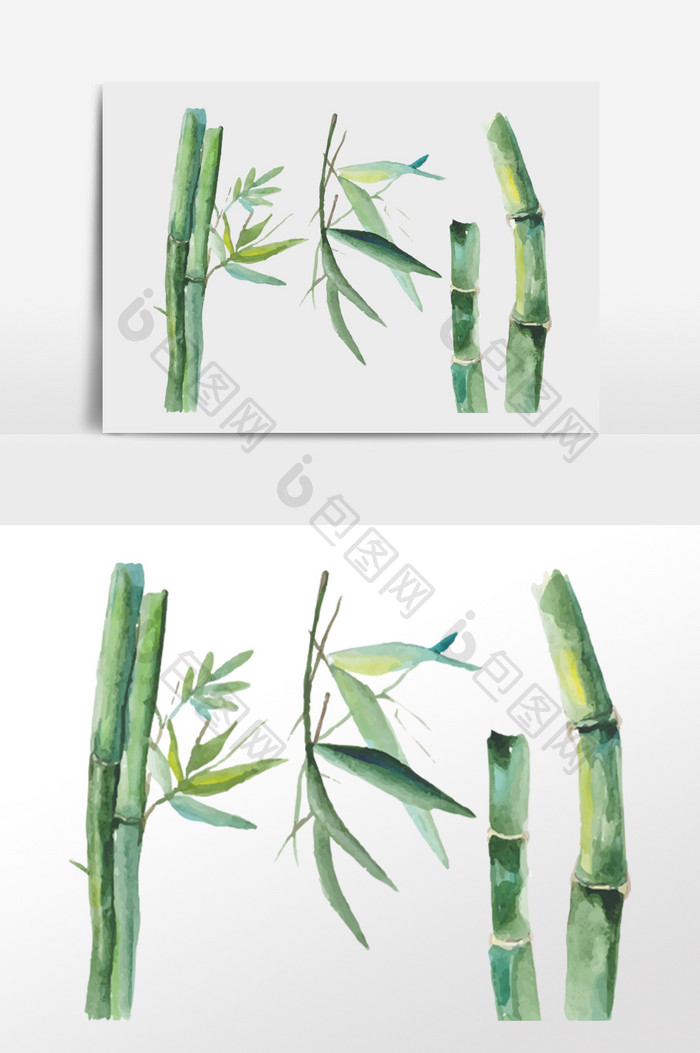 春分青竹叶子绿色竹子水彩风格插画