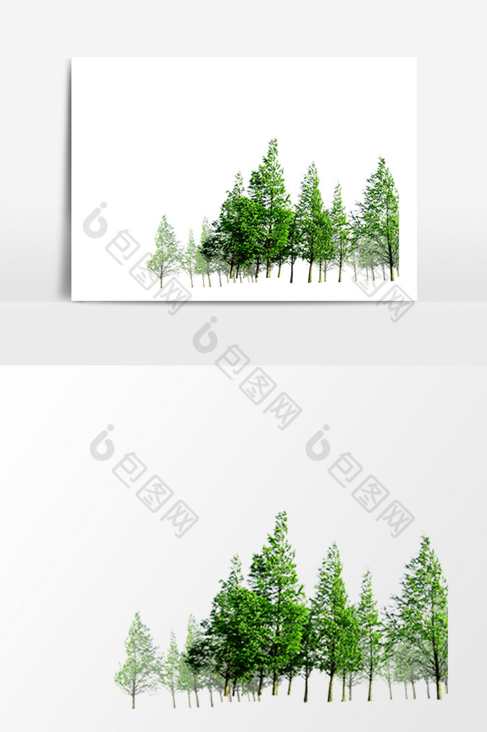 小树林树叶图片图片