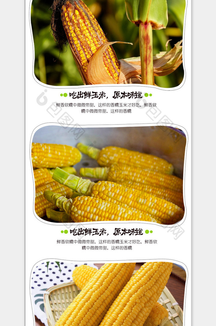 简约清新玉米详情页面