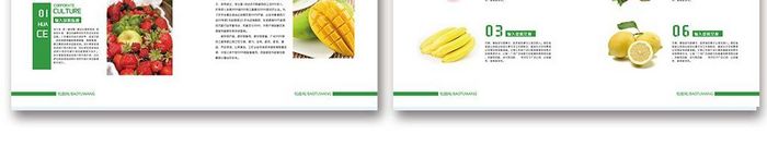 2018 绿色健康营养水果整套画册设计