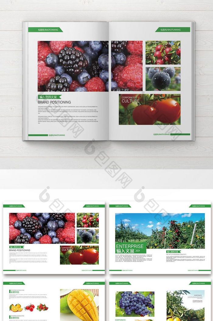 2018绿色 健康营养水果整套画册设计
