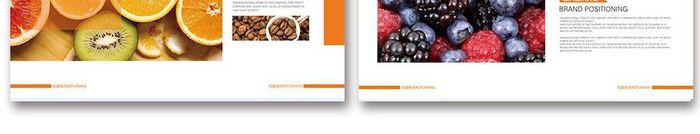 2018橙色 健康 营养水果整套画册设计