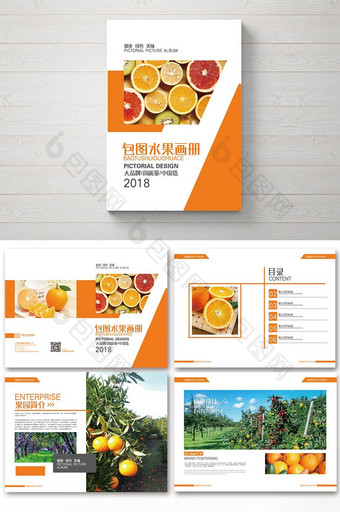 2018橙色 健康营养水果整套画册设计图片