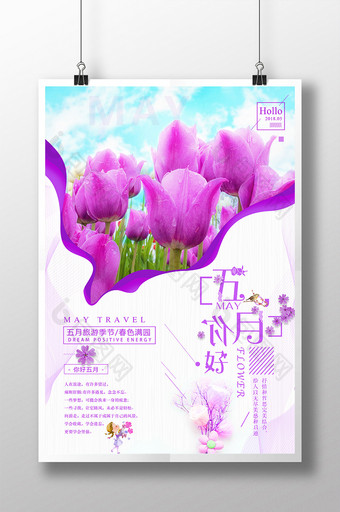 唯美大气创意五月你好郁金香花卉海报图片