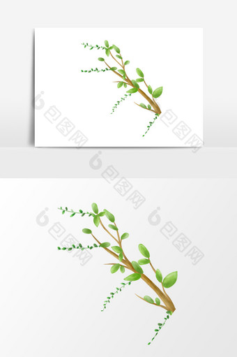 绿色树枝藤条元素素材图片