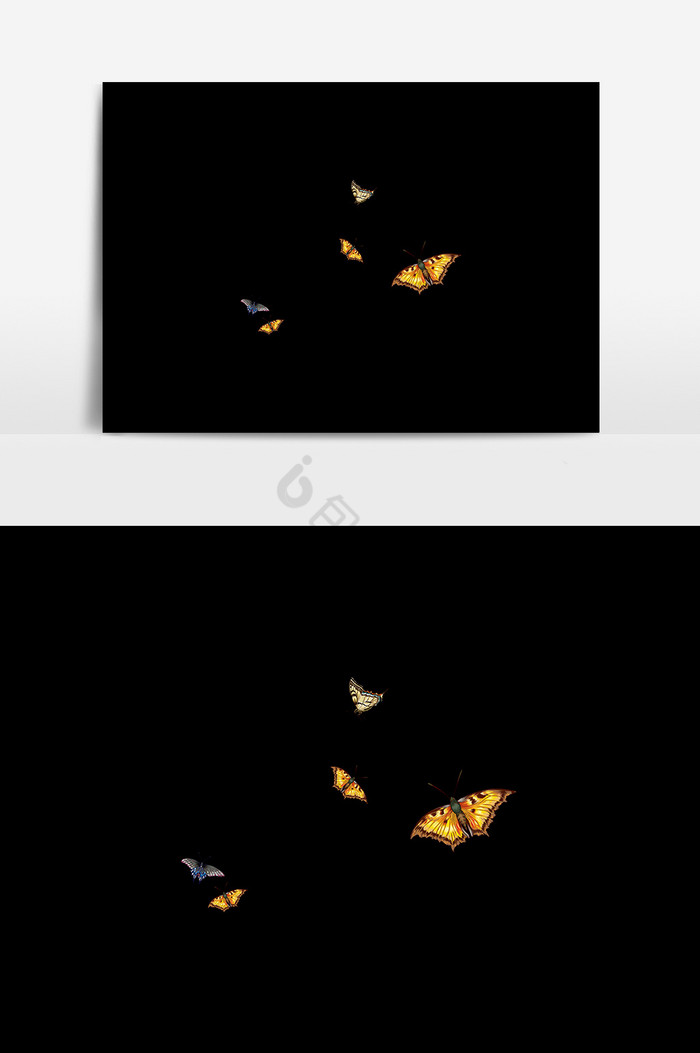动物飞翔蝴蝶图片