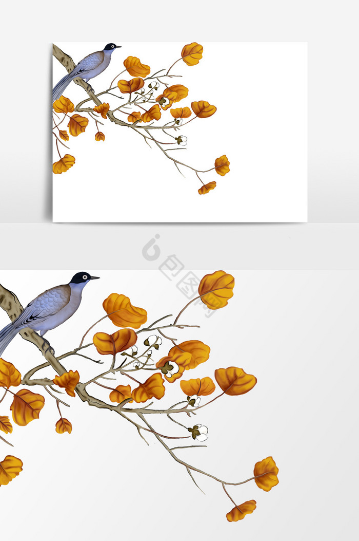 鸟树枝透明格式图片