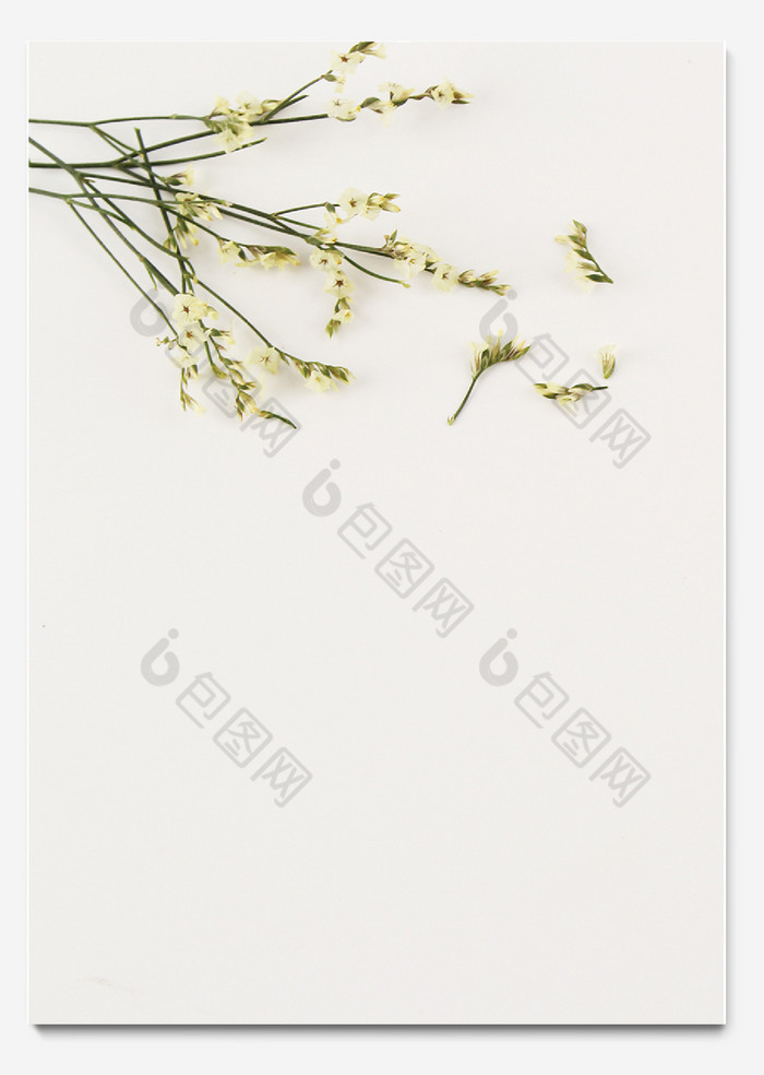 花卉模板word信纸模板