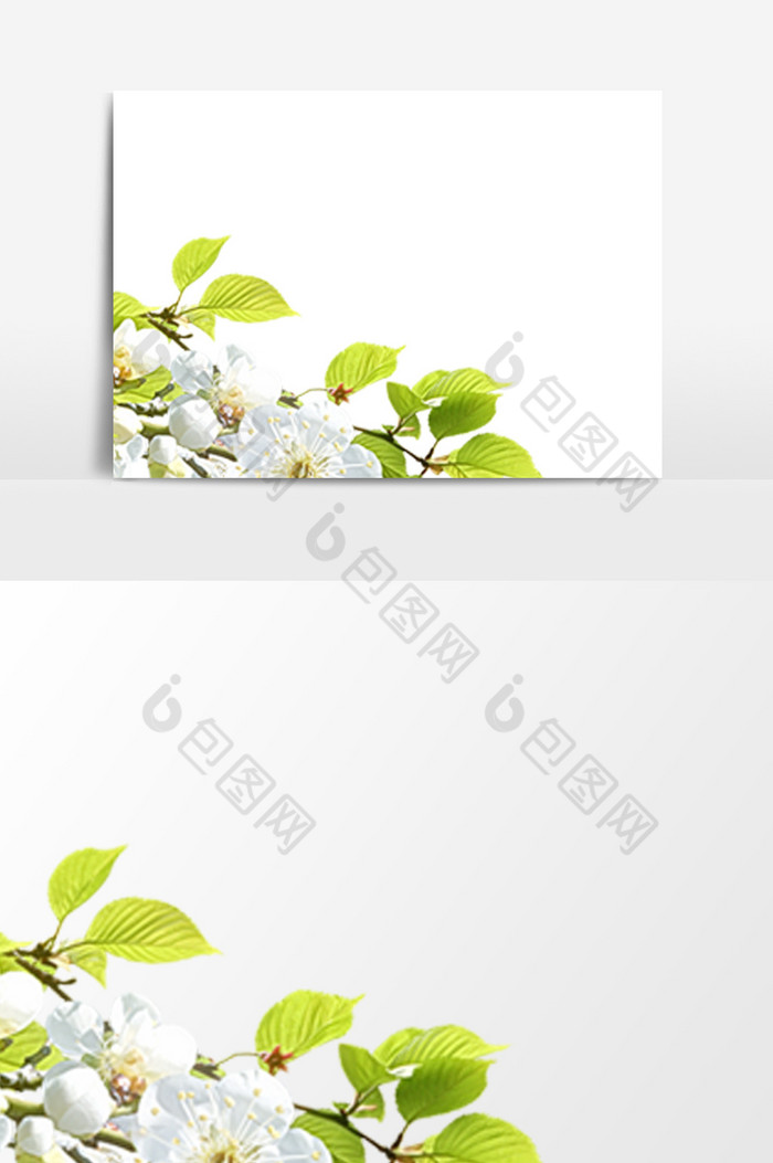 花卉边框绿叶边框边框图片