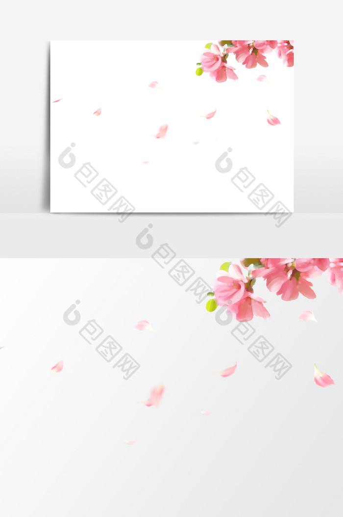 桃花花瓣图片图片