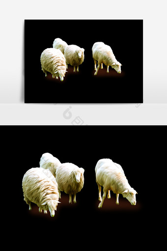 手绘动物绵羊元素素材图片