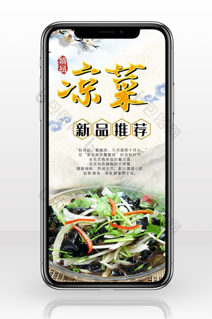 美食宣传新品凉菜手机海报