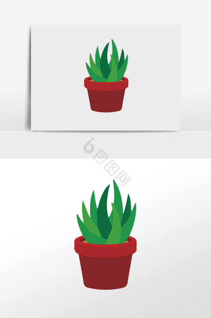 植物盆栽养殖插画图片