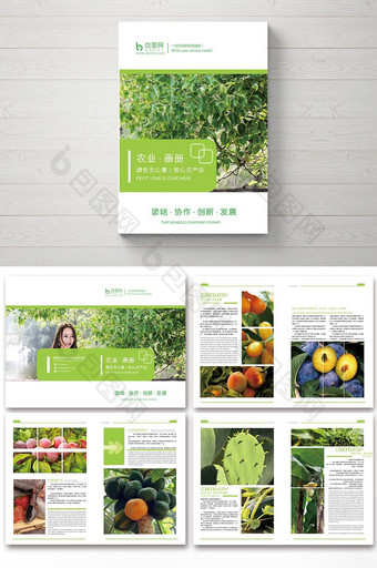 绿色通用农业产品宣传画册图片