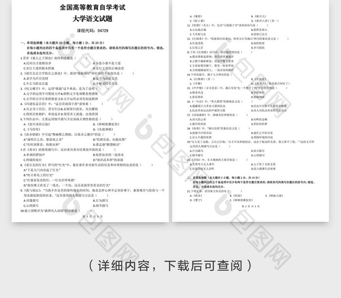 简洁全国高等教育自考语文考题word模板