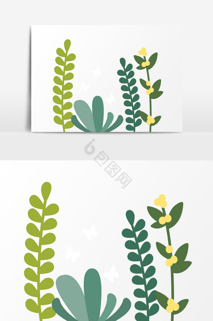 植物叶子插画图片