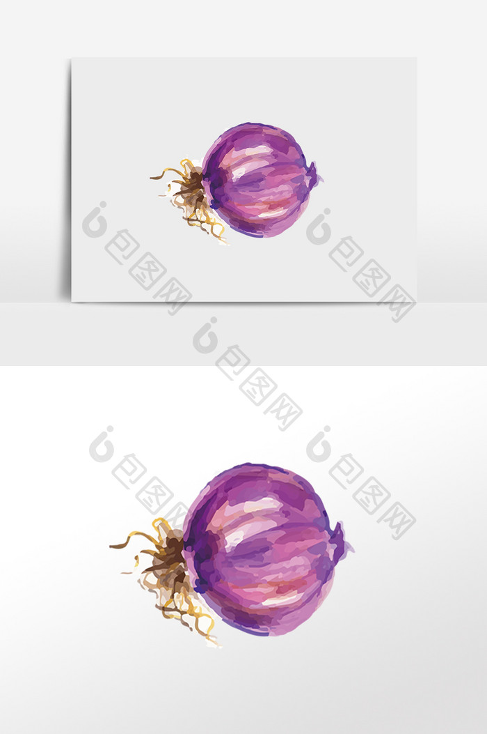 紫色洋葱蔬菜元素插画