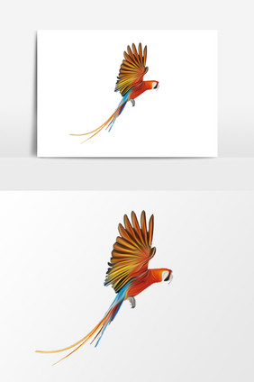 鸟类多彩设计元素