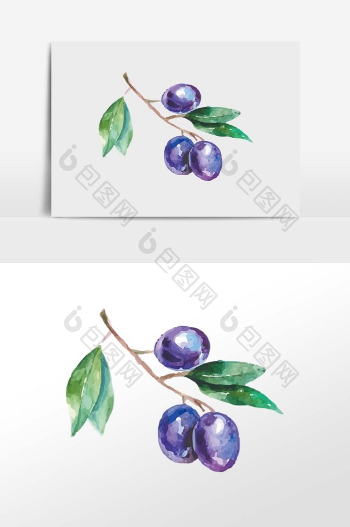 蓝莓水果元素插画