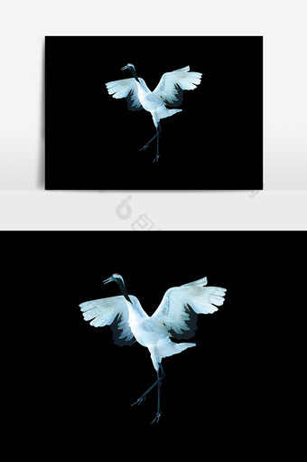 鸟类动物设计背景图图片
