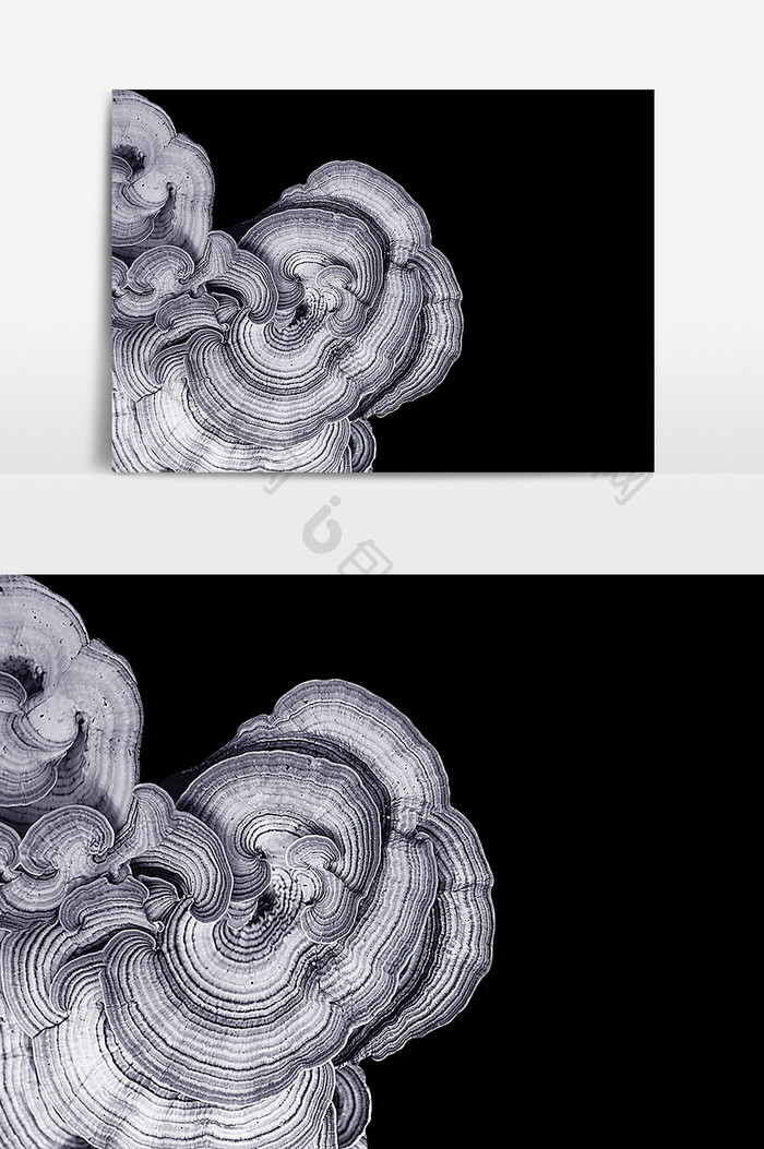 灵芝图案元素素材