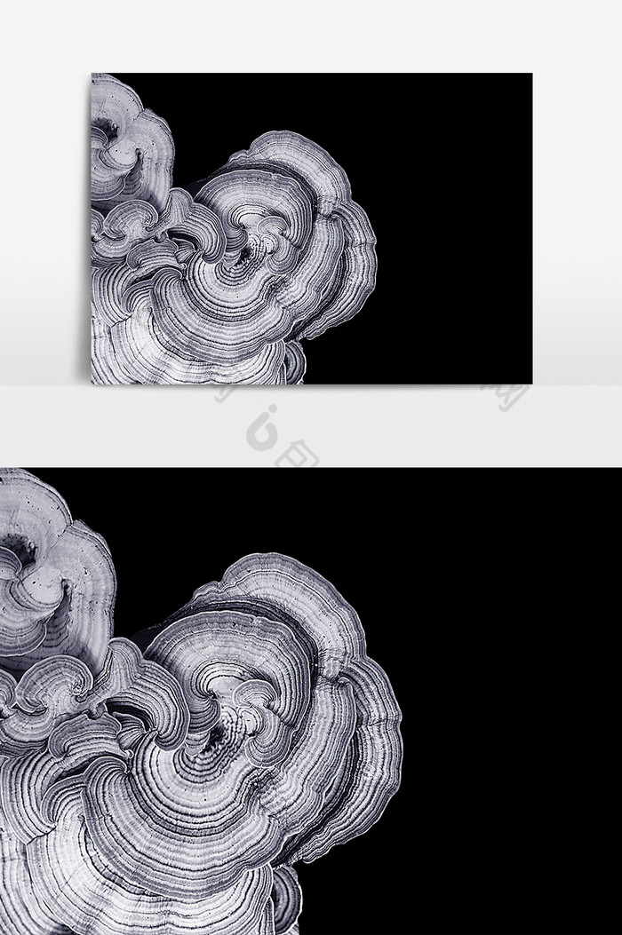 好看的灵芝图案元素素材图片素材免费下载,本次作品主题是广告设计