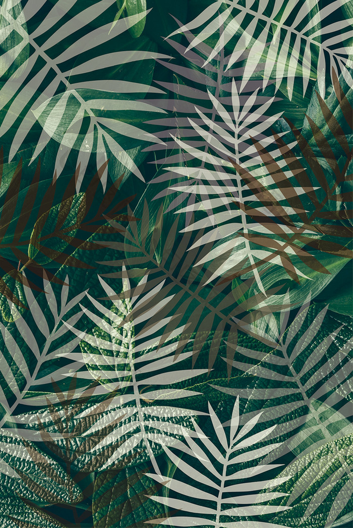 北欧风现代简约绿色热带植物装饰画