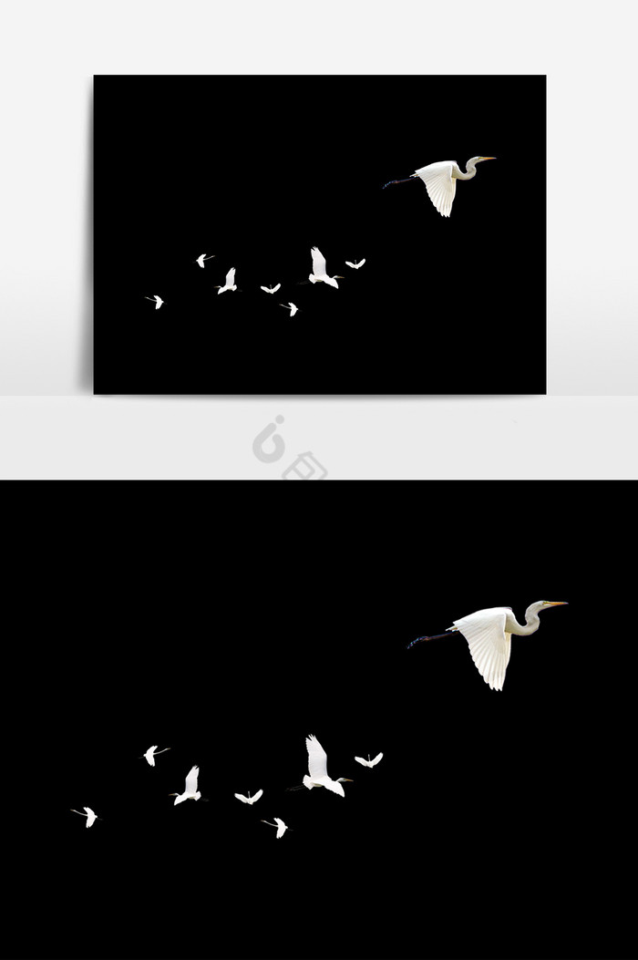 飞鸟白鹤图片