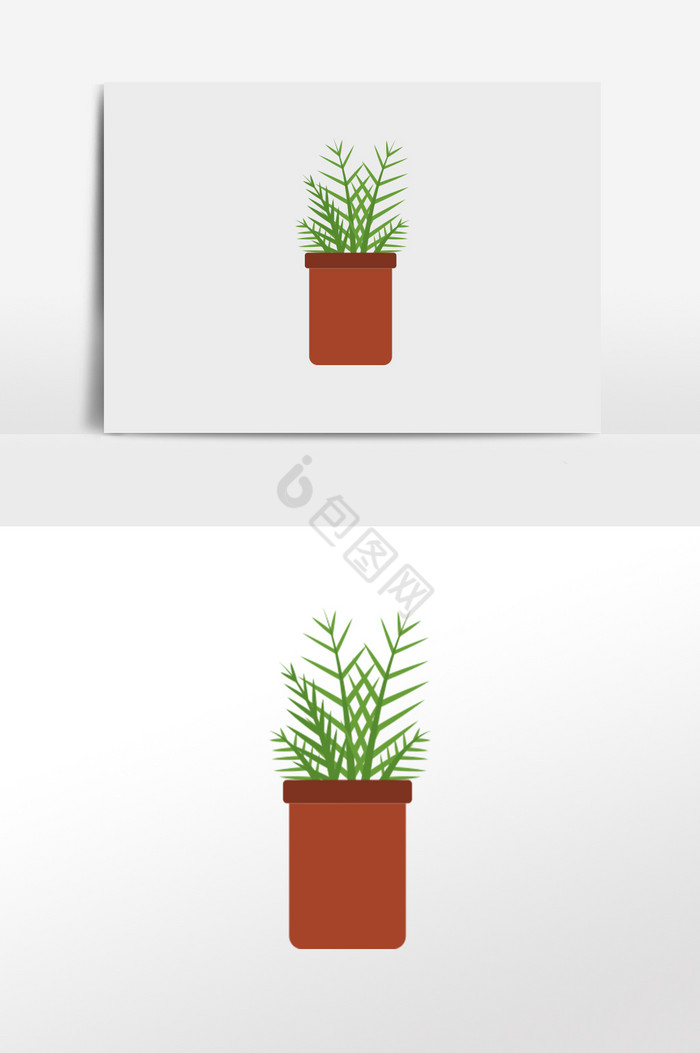 植物插画图片