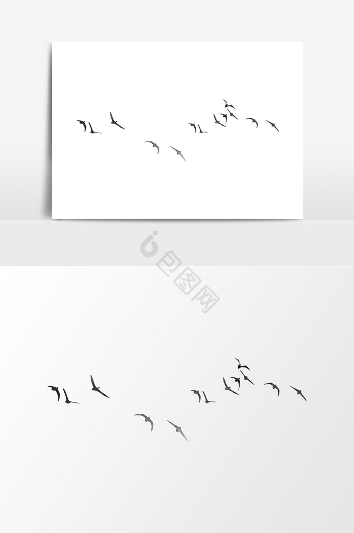 飞行群鸟图片