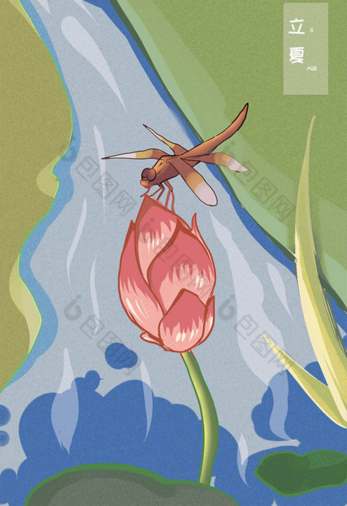 立夏蜻蜓荷花插画图片