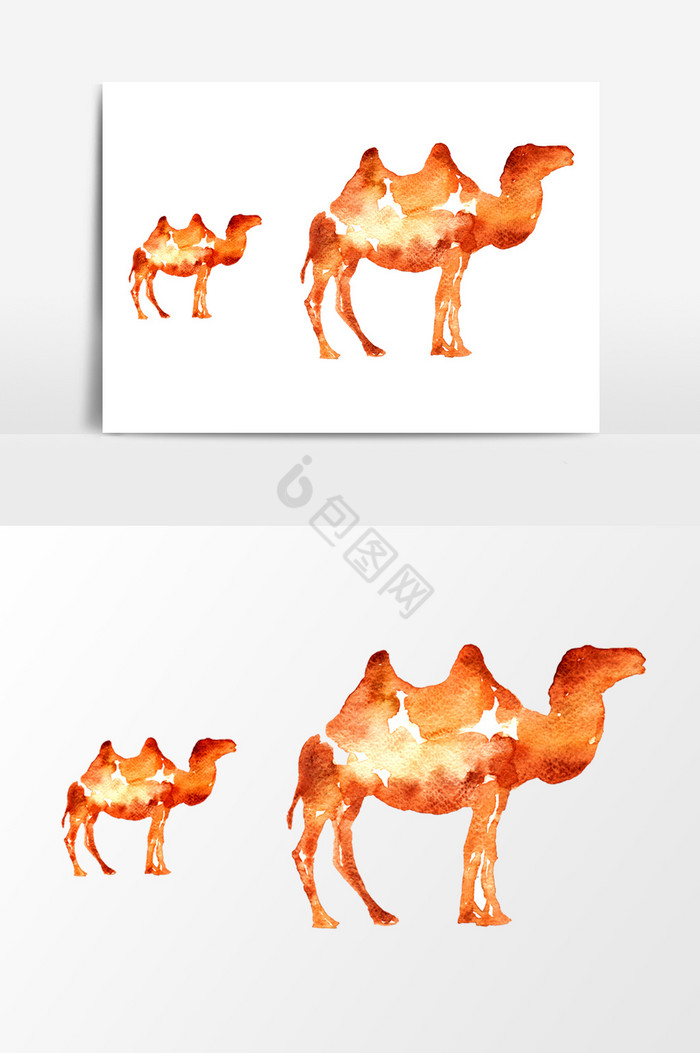 骆驼趾 