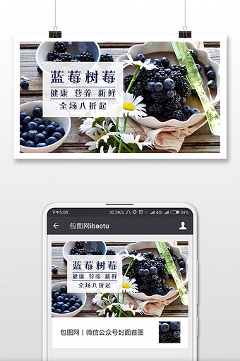 蓝莓树莓水果手机海报图片