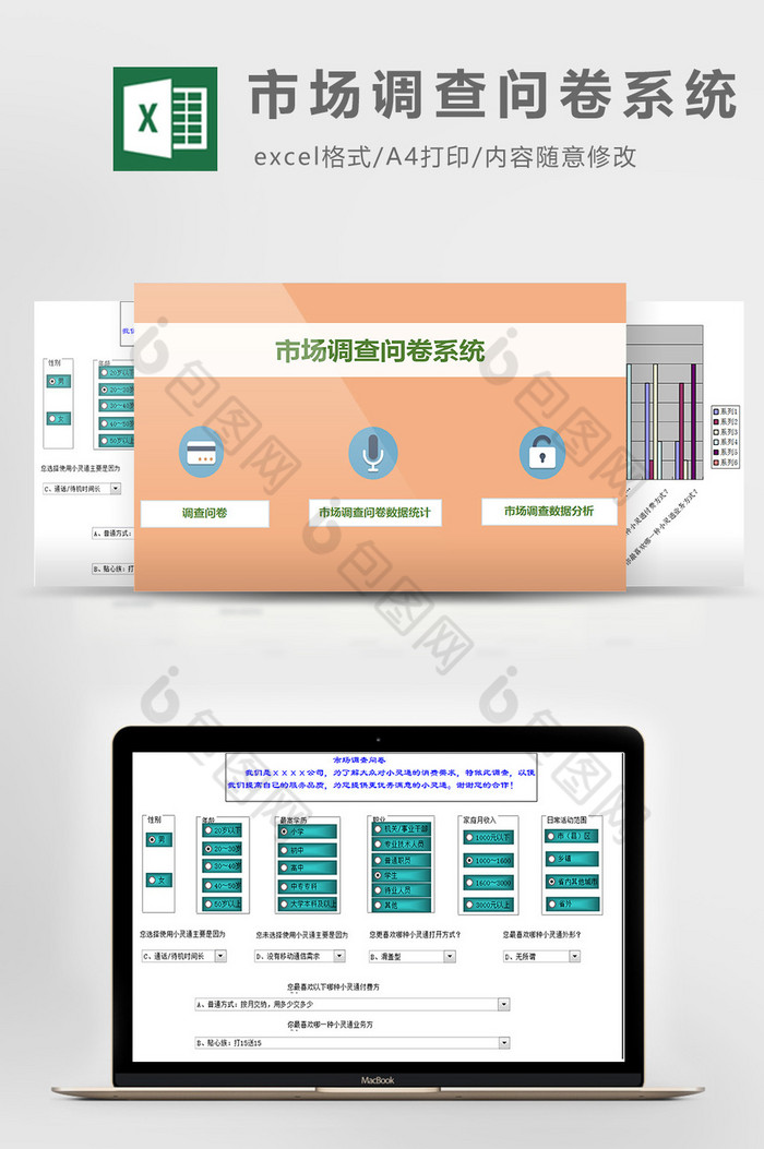 市场调查问卷系统excel模板图片图片