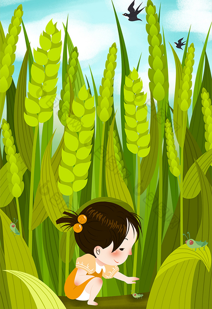 小满节气麦田孩子抓蚂蚱插画图片
