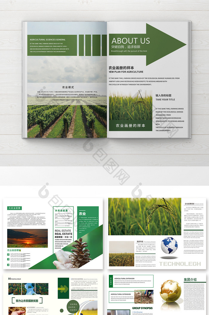 简约时尚大气高端农业品牌画册宣传整套