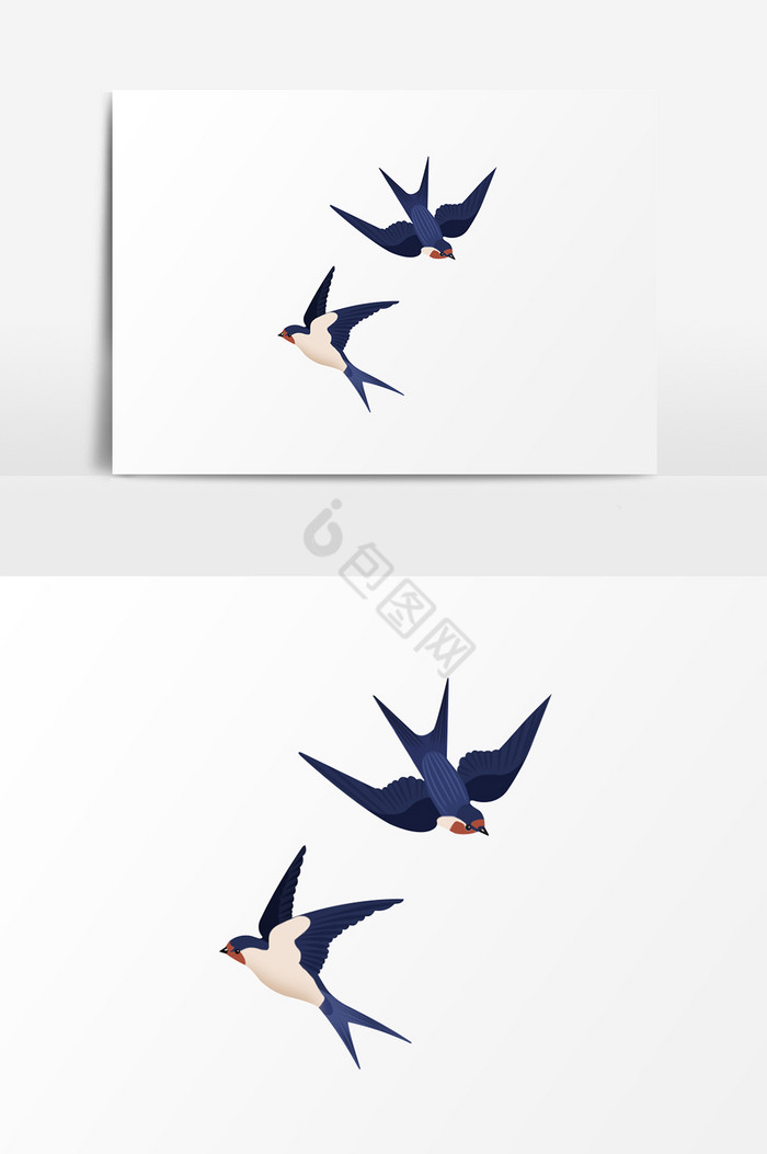 飞翔燕子插画图片