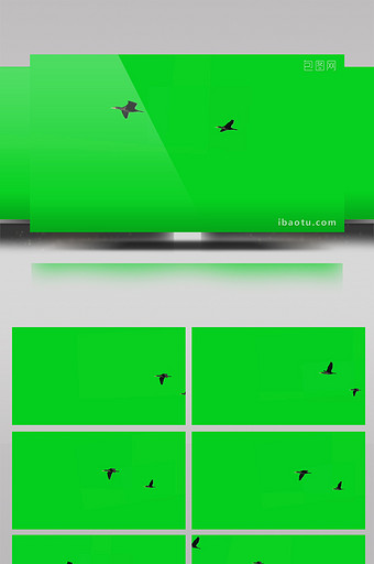 鸟飞翔绿屏抠像绿幕视频素材图片