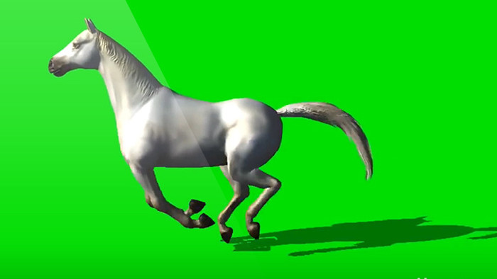 白色骏马奔跑绿屏抠像绿幕视频素材