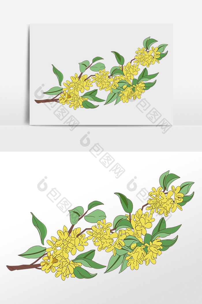 金色花朵桂花苏州插画图片图片