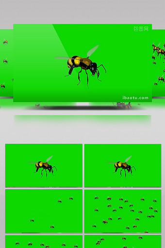蜜蜂飞舞绿屏抠像视频素材图片