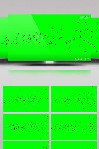 群鸟飞过绿屏抠像绿幕视频素材图片