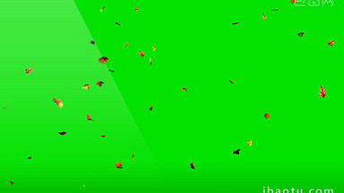 4K秋风落叶绿屏抠像视频素材