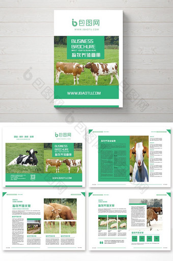 整套新版畜牧养殖产品宣传册图片